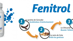 Fenitrol mFenitrol Complément alimentaire pour maigriron atout minceur