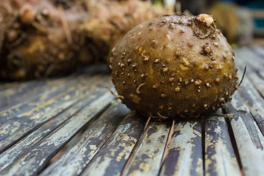 Pourquoi choisir le konjac pour maigrir ? Le Blog Phyto