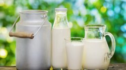 Le calcium: Pourquoi est il important pour l'organisme?